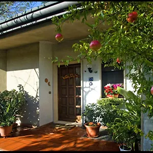 Oasi Di Venise